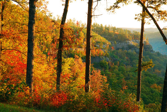 The Red River Gorge in Kentucky displays a vibrant hue of fall foliage