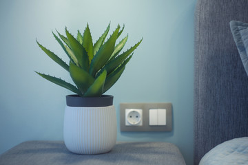 white pot with a green flower stands near the bedside table, light falls from above, aloe 
