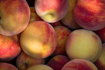 Peach Bin - Peach Bin
Delicious fresh picked peaches display beautiful colors and fuzzy skin in a bin at a farm fruit food market stand.