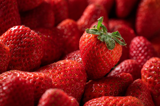 Ripe strawberries fruits close-up