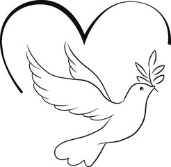 Beautiful line sketch dove bird vector illustration
