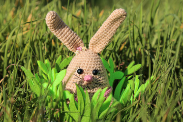 Cute handmade toy. knitted animal. Easter bunny peeps out of the grass.