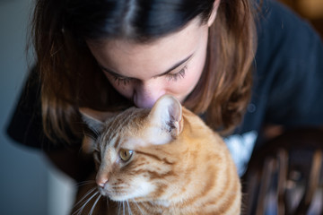 Orange striped Tabby Cat with cute face enduring a female family member kissing him on the head.