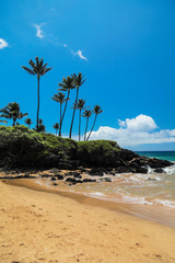 Beach Scene with Turquoise Pacific Ocean, Lush Green Landscape and Volcanic Rock in Wailea Maui Hawaii