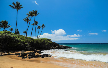 Beach Scene with Turquoise Pacific Ocean, Lush Green Landscape and Volcanic Rock in Wailea Maui Hawaii