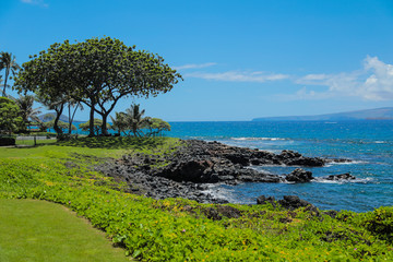 View from a Beach Path in Wailea Maui Hawaii with Turquoise Pacific Ocean, Lush Green Landscape and Volcanic Rock