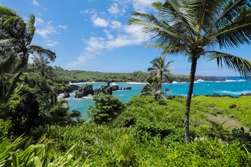Fototapeta na wymiar Landscape view from State Park near Black Sand beach in Maui Hawaii with Lush Green Tropical Foliage, Turquoise Ocean and Volcanic Rock