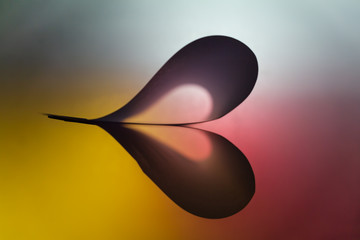 Folded backlit paper abstract heart shape suitabe as wallpaper.