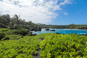 A Stop at Waiʻanapanapa State Park on the Road to Hana Maui Hawaii with Turquoise Blue Ocean, Lush Green Landscape and Volcanic Rock near the Black Sand Beach