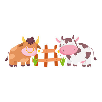 farm animals bull and cow wooden fence flowers cartoon