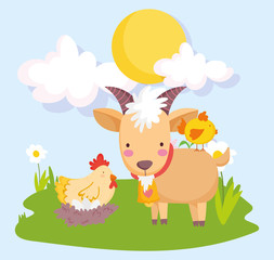 farm animals ram hen and chicken grass sunny day cartoon