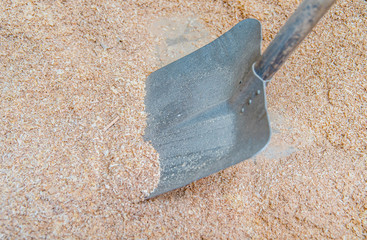 shovel in sawdust in a carpentry workshop