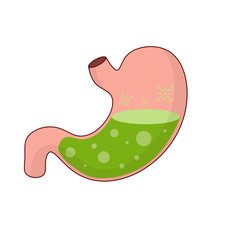 Human stomach. Internal organ of body. Bubbles in acid. X-ray of belly. Digestive problems. Cartoon flat illustration. Medical care