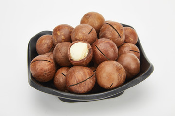 Macadamia fruit