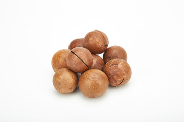 Macadamia fruit