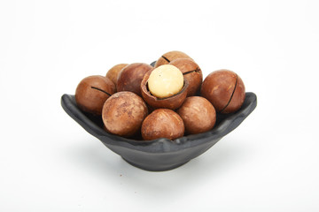 Macadamia fruit