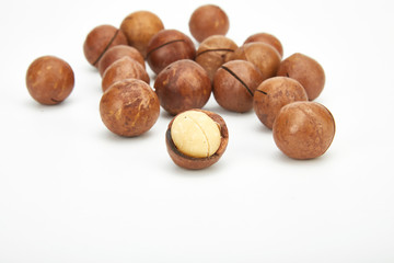 Macadamia fruit