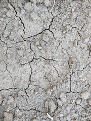 Gray dry cracked soil earth background texture from my garden