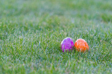 colorful easter eggs lying in the backyard grass. copyspace. isolated