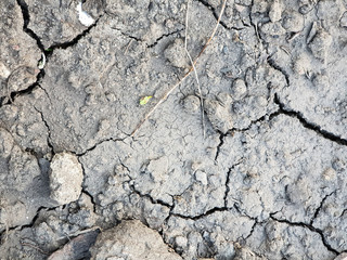 Gray dry cracked soil earth background texture from my garden