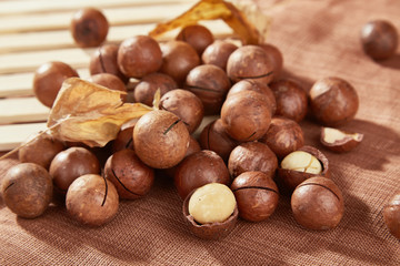 Macadamia fruit