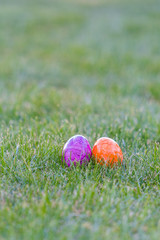 colorful easter eggs lying in the backyard grass. copyspace. isolated