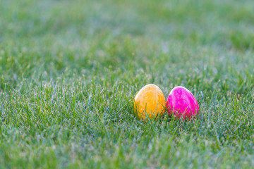 colorful easter eggs lying in the backyard grass. copyspace. isolated