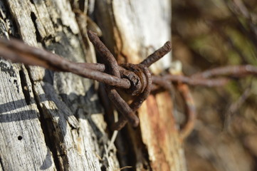 Old barbed wire fence with wood
