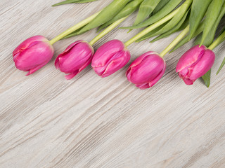 Pink tulips on wooden background. The view from the top.