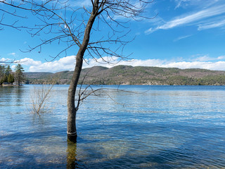 High water level on the edge of Lake Champlain