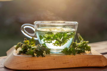Cup of herbal tea with nettle on wooden background