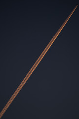 Warm golden hour light airplane trail in a clear sky