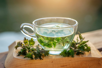 Nettle tea in glass, fresh and dry nettle.