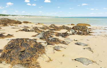 Ogunquit Beach on a Sunny Afternoon, Ogunquit, Maine, USA. Ogunquit was named by the Abenaki tribe,...