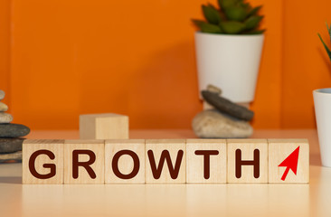 growth word written on wood block