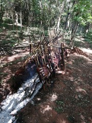 asado a la estaca