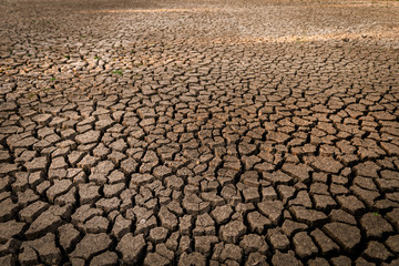 dry cracked ground. Global Warming concept.