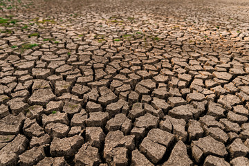 dry cracked ground. Global Warming concept.