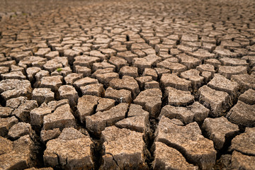 dry cracked soil. Global Warming concept.