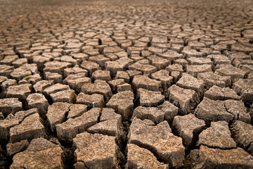 dry cracked soil. Global Warming concept.