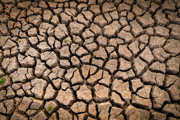 dry cracked soil. Global Warming concept.