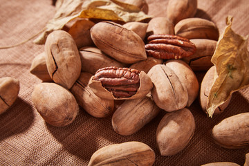 The retro style of Bigen fruit placed in the container