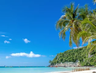 Photo sur Plexiglas Plage blanche de Boracay white beach and bamboos on Boracay island, Philippines.
