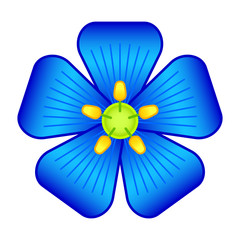 Flax flower illustration