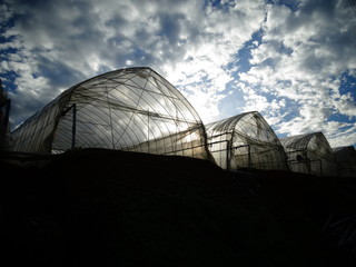 Fototapeta premium Greenhouses under a cloudy sky