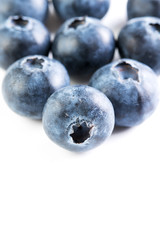 fresh large blueberry