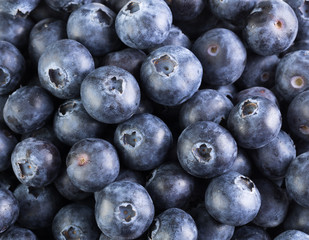fresh large blueberry