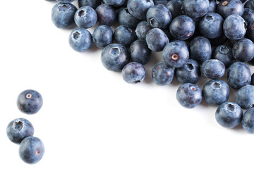 fresh large blueberry