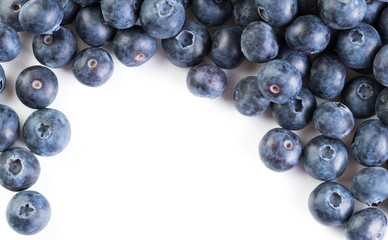 fresh large blueberry