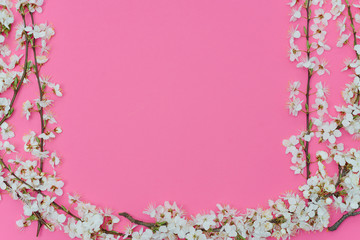 Beautiful gentle spring twigs with white flowers on a pink background top view flat lay with space for text. Greeting card with delicate flowers Pink floral background.